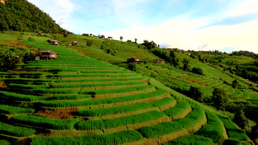 Bamboo hut homestay farm with Green rice terrace paddy fields in Northern Thailand Chiang Mai region, drone aerial view of green rice fields in Thailand in the mountains Royalty-Free Stock Footage #3430493593