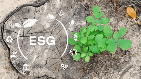 ESG concept Environmental social and governance in sustainable and ethical business on the Network connection on a green nature background.Green plant. 4K corporate video Video de stock
