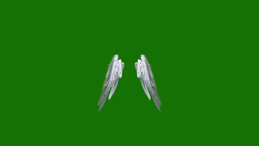 Angel wings high Resolution animated green screen 4k, The video element of on a green screen background, Ultra High Definition, 4k video, on a green screen background. Royalty-Free Stock Footage #3430600687