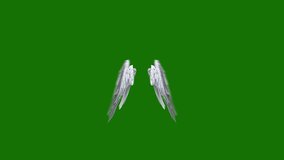 Angel wings high Resolution animated green screen 4k, The video element of on a green screen background, Ultra High Definition, 4k video, on a green screen background.
