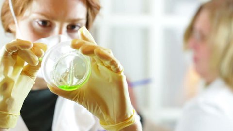 Scientist looking a petri dish