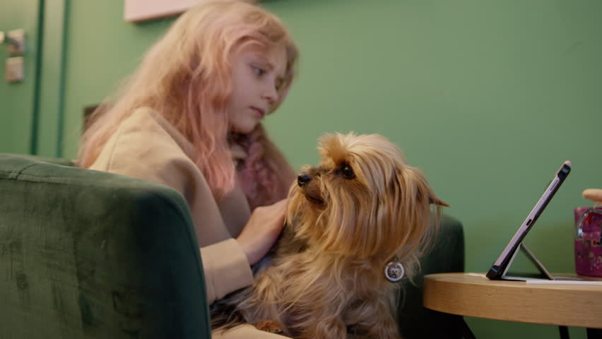 A pensive young girl caressing a yorkie while sitting in an emerald chair at a little round table with a tablet.