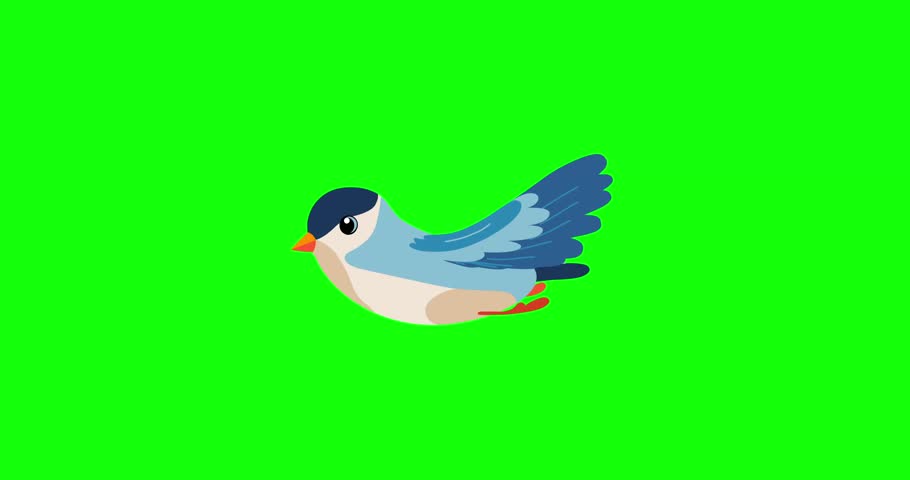 Blue sparrow type cartoon animation bird flying green screen. Seamless loop isolated character behaviour.