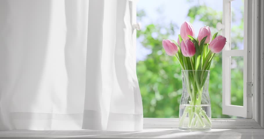 Tulips in bottles on window sill Royalty-Free Stock Footage #3430783833