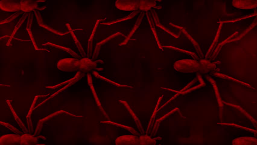 A birds eye view of realistic spiders crawling across screen in a looping sequence with a graphic stylised treatment and old film effects and details.
