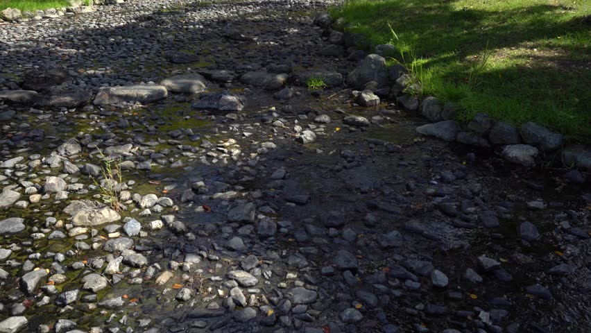 Serene Japanese Garden With Calm Stream on Sunny Day in Kyoto