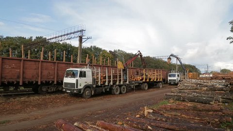 A truck is loading wood in freight train