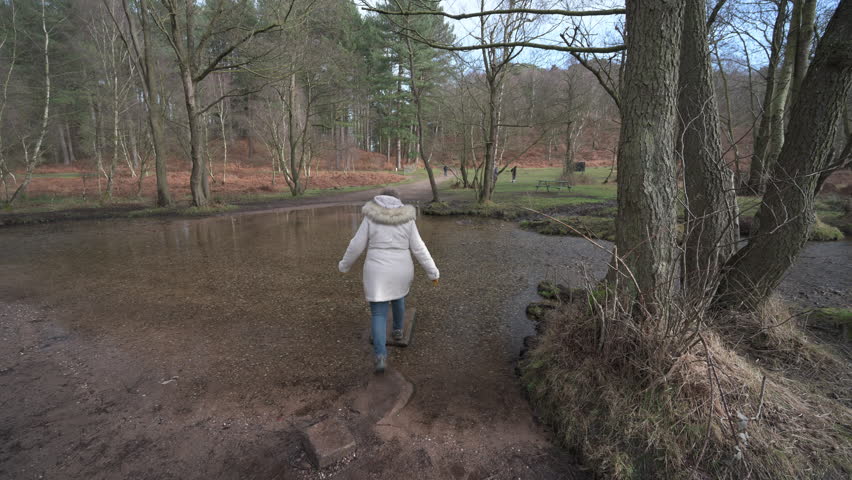 Woman walking across the stepping stones at Sherbrook valley, Cannock Chase, Staffordshire, UK during winter.