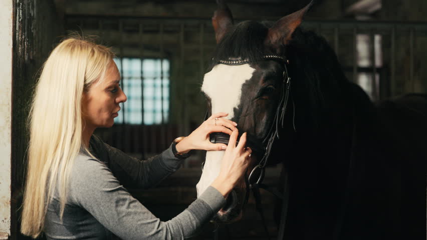 Bridle application by woman with blonde hair in stable setting