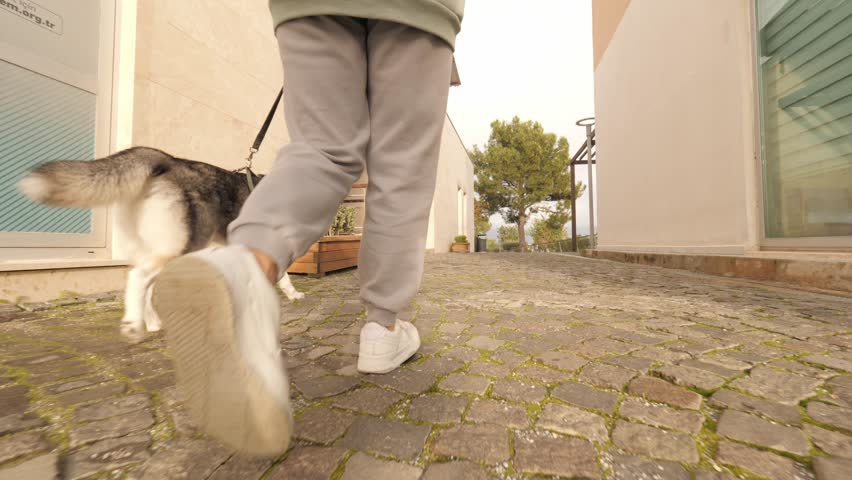 Unrecognizable casual woman walking with Husky dog at city park enjoy outdoor leisure activity closeup modern female going with pet canine furry domestic animal weekend recreation and friendship