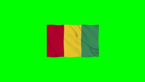 Guinea Vector Waving Flag Motion loop 4K Resolution