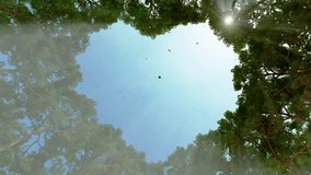 The crowns of hundred-year-old pines are so arranged that they form a heart shape overlooking the clear sky, 3D render - Powered by Shutterstock - Get 15% off with code: PIKWIZARD15