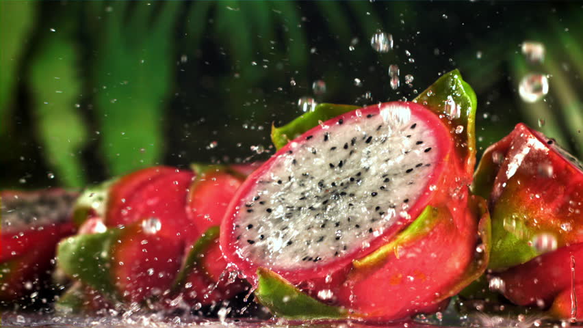 Drops of water fall on a tropical dragon fruit. Filmed on a high-speed camera at 1000 fps. High quality FullHD footage