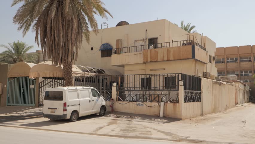 White van parked in front of a house with a palm tree