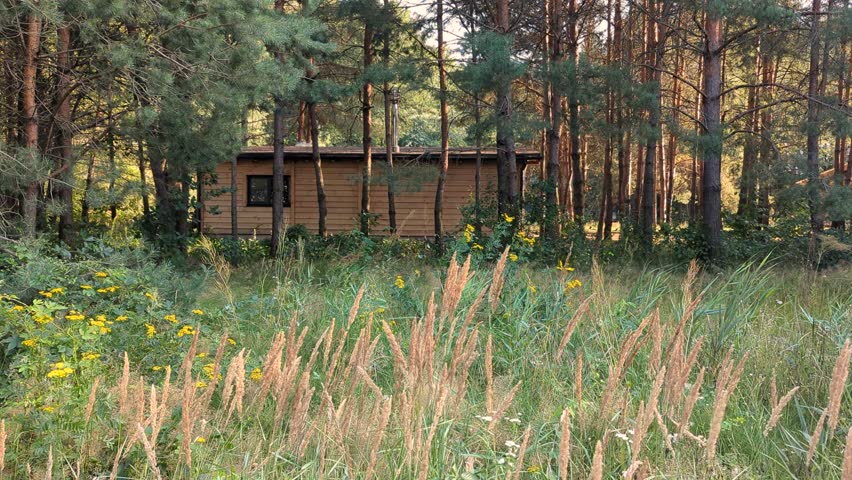 Wooden scandinavian house. Forest cabin in the middle of a forest in silence