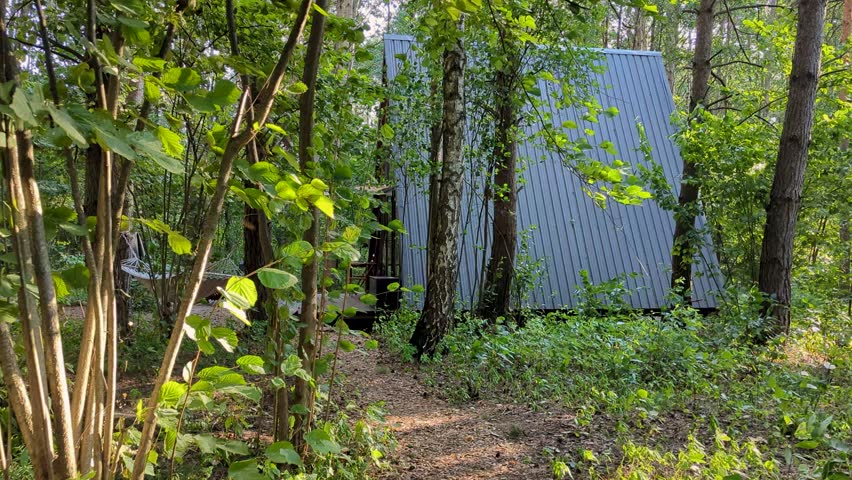 Forest cabin in the middle of a forest in silence. Scandinavian house.