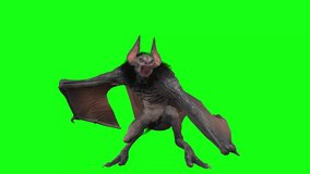 Angry monster ghost green screen video or chroma key backgrounds