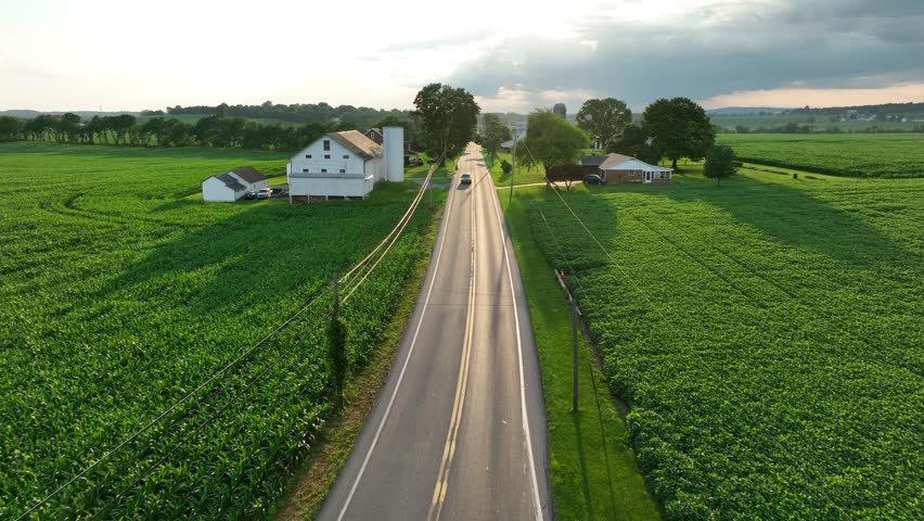 Car driving on a rural road through lush green fields with farmhouses and trees. Aerial during summer in American countryside.