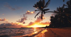 Tropical caribbean palm trees on exotic island at sunrise. Color sunset with cloudscape over wild beach shore