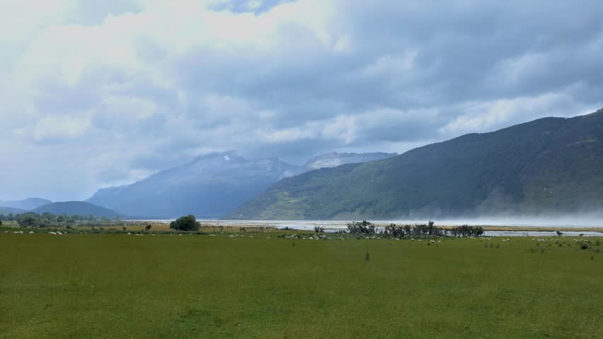 Big clouds on a windy day in front of Dart river. Long shot of sheep grazing, grass waving and water mist. Lord of The Rings location, Isengard, Glenorchy, New Zealand