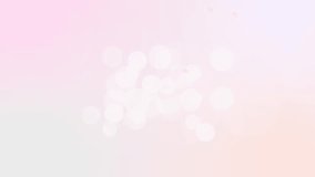 lights and Cherry blossom petals abstract background loop animation