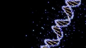 Luminous DNA Spiral in Violet and Gold, UHD 4k seamless loop video in black background.