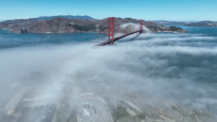 Shutterstock Video