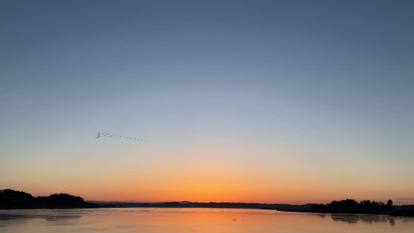 Peaceful morning sky  and flying birds over the swamp.
