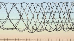 Security fence with a barbed wire with fence prison closed area strict regime silhouette barbed wire. Razor wire. Barbed wire fence with