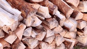 Close-up of wood chips in a food factory. Natural wooden background. Media. Footage of large Chopped pieces of wood for fuel. High video footage