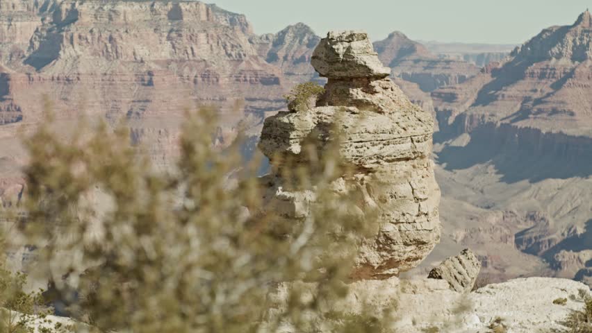 Grand Canyon National Park South Rim in Arizona with dolly shot moving from tree to reveal rock in canyon.