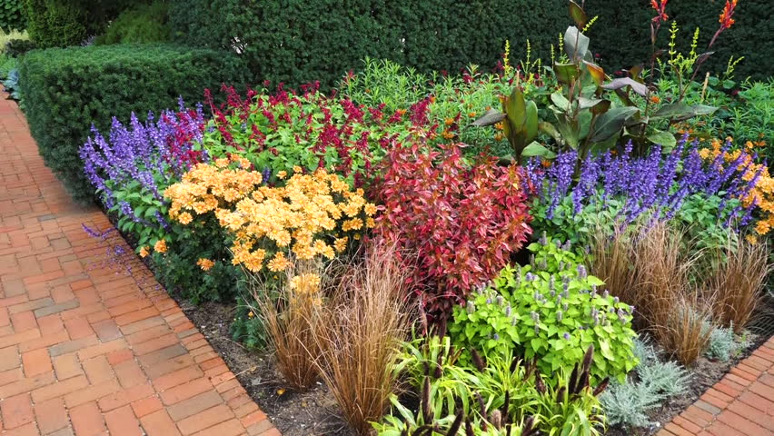 Colorful Flowers in Park of Chicago Botanical Garden, Glencoe IL USA
