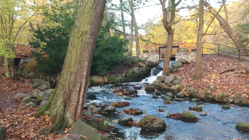 Water cascades in Oliwsky brook