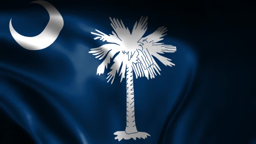 South Carolina State Waving Flag. Flag of South Carolina Waving Animation.