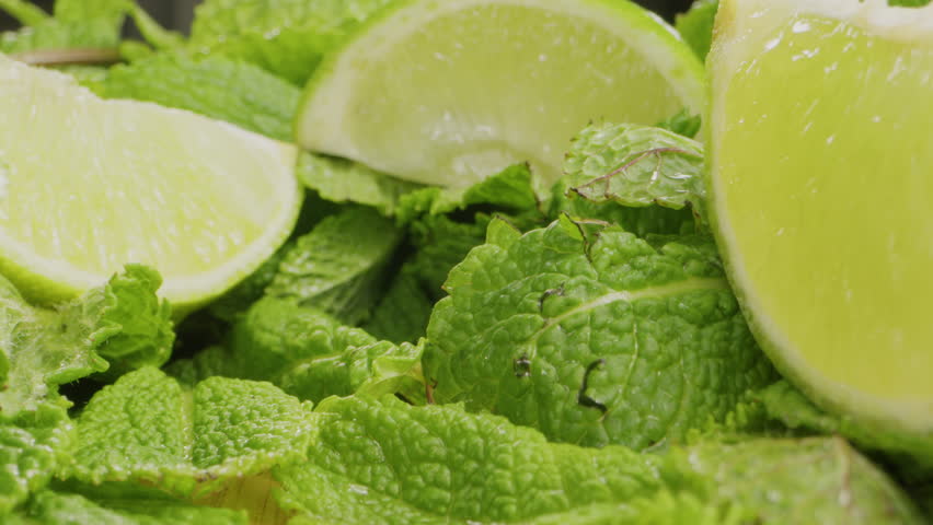 Green mint probe lens macro close up, Green leaves of fresh fragrant mint with water drops close-up.