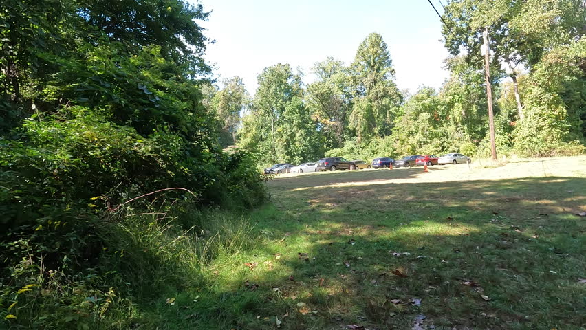 parking lot in the park in the early fall