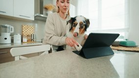 Indoor moment with a woman using a tablet for an online video call, accompanied by her Australian Shepherd at home