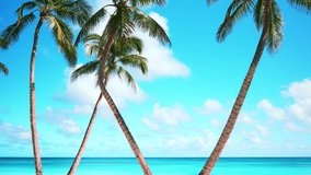 Summer sunny day on the Maldives beach with bright palm trees. Sea and blue sky with clouds. Tropical island for travel. Beautiful postcard with a seascape.