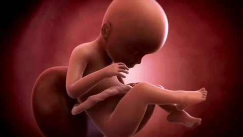 Human Fetus Moving Slowly In Mother’s Womb. Seamless Loop Embryo develops and grows in uterus. baby born. Science and health related 4k 3D animation Video Stok