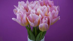 Bouquet of pink tulips on a peach background.Time lapse - Powered by Shutterstock - Get 15% off with code: PIKWIZARD15