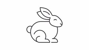 Animated rabbit icon. Symbol of easter line animation. Cute hare. Rabbit cottontail. Spring celebration mascot. Black illustration on white background. HD video with alpha channel. Motion graphic