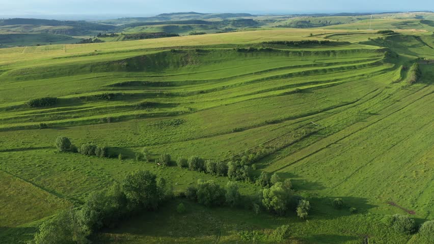 Green meadow in the spring, countryside hills from above, aerial view