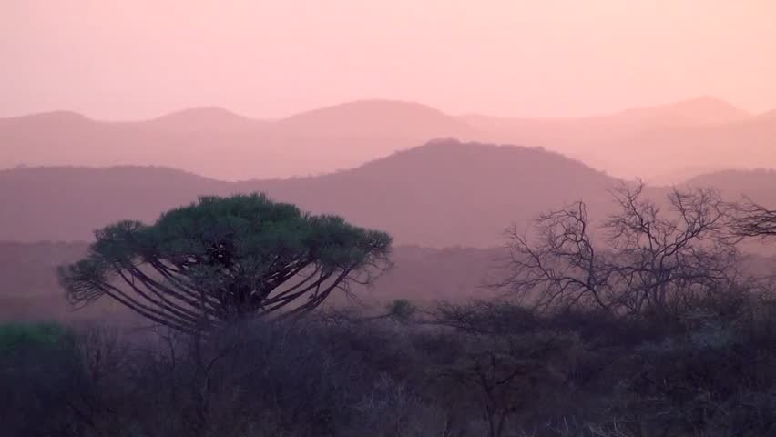 Landscape in Tsavo