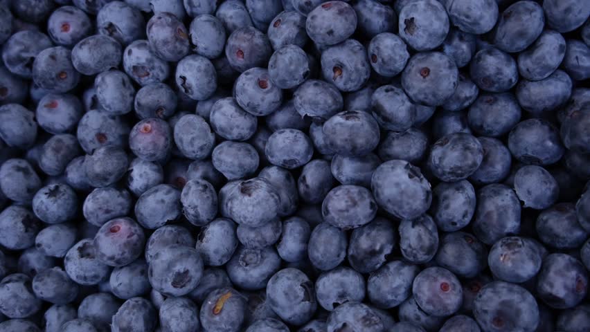 Fresh Delicious blueberries background. Texture of blueberry berries Royalty-Free Stock Footage #3433790249