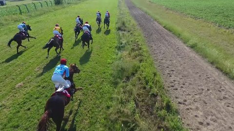 Horse race from the air. Horses galloping very fast