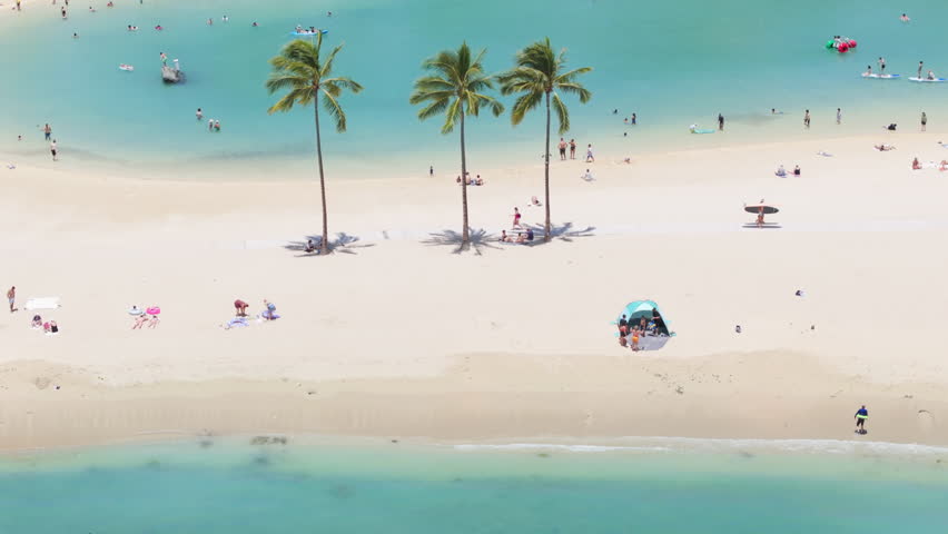 Aerial view on cinematic tree green palm tress at blue lagoons. Tourists tanning on Oahu. Families enjoy summer. Waikiki resort travel destination. Happy people traveling by scenic tropical Hawaii 4K Royalty-Free Stock Footage #3433820927
