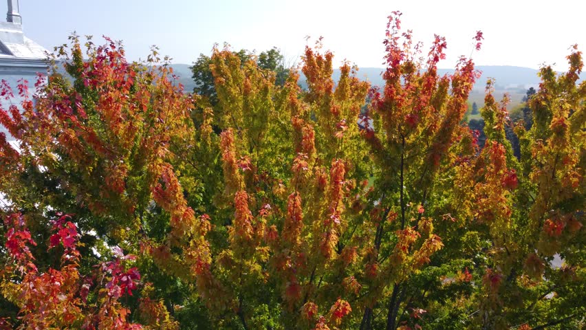 Rotating shot of beautiful colorful trees on an autumnal beside a church on a bright sunny day. Rural landscape.