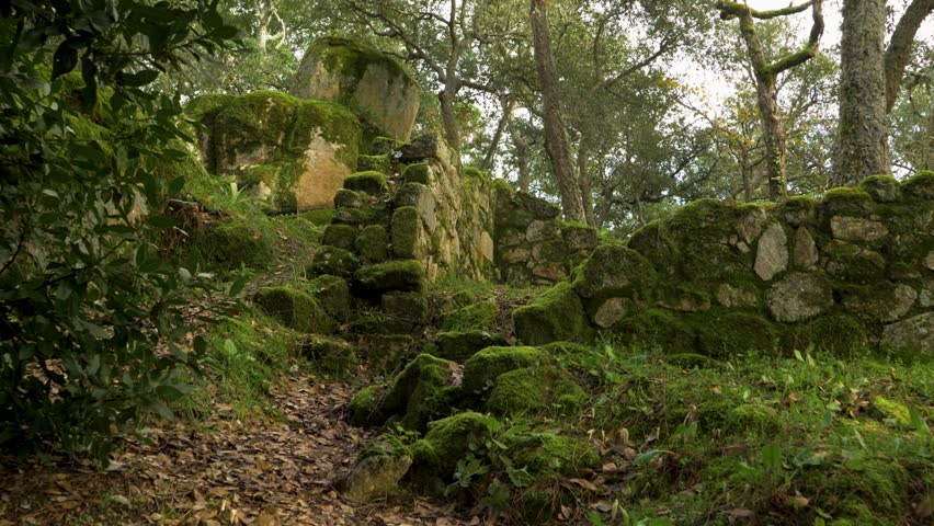 Wind blows blades of grass along edge of broken stone wall at ancient ruins in Ourense