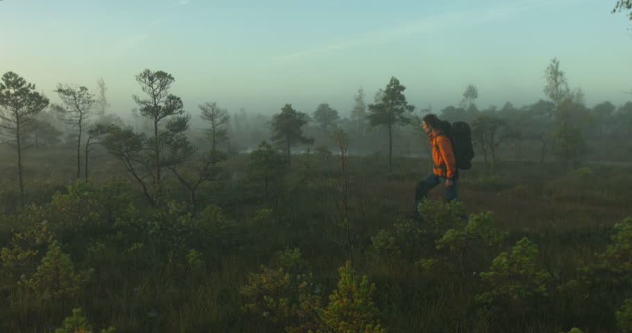 Man with dreadlocks and a backpack walking in a raised bog during foggy sunrise. Handheld slow motion.