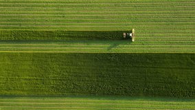 Tractor agriculture machinery harvesting herbs in a green agricultural field. Farmer work on agricultural field. Harvester machine to harvest wheat field working in straight line in Estonia - Powered by Shutterstock - Get 15% off with code: PIKWIZARD15